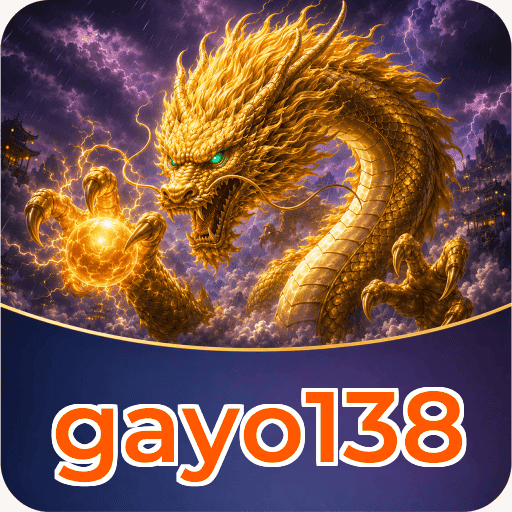 Logo gayo138